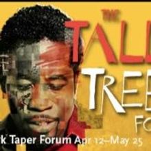 Daniel Beaty's THE TALLEST TREE IN THE FOREST to Play CTG's Mark Taper Forum, 4/12-5/