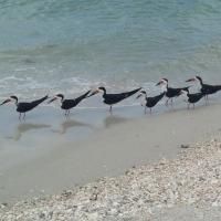 BWW Blog: Leah Edwards - Traveling