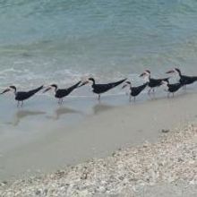 BWW Blog: Leah Edwards - Traveling