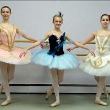 FSPA Students Place at Top of Age Divisions at 2014 Youth America Grand Prix Semi-Fin