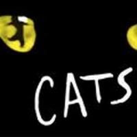 CATS to Launch Australian Tour