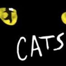 CATS to Launch Australian Tour