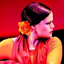 Ballet Flamenco La Rosa Presents RITMO Y PASION, 5/4
