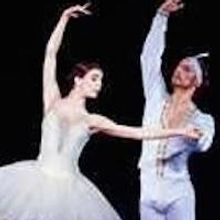 Natalia Osipova & Ivan Vasiliev to Bring SOLO FOR TWO to London Coliseum, 6-9 August