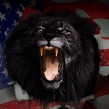 Carlos Viola Writes Debut Novel BLACK LION