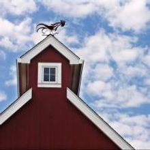MR. ROBERTS, CROSSING DELANCEY Set for Westport Country Playhouse's 2013 Script-in-Ha