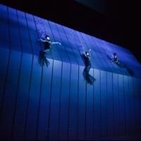 BWW Reviews: GOTTERDAMMERUNG Brings Another Twilight to the Met's RING Photo