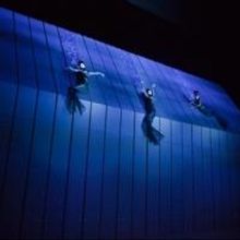 BWW Reviews: GOTTERDAMMERUNG Brings Another Twilight to the Met's RING