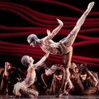 Museum of Fine Arts Houston to Present Encore Screening of BREAKING BOUNDARIES, 11/11