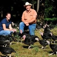 Support a Humane Thanksgiving