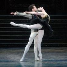 BWW Reviews: American Ballet Theatre's SWAN LAKE Offers Delights and Disappointments
