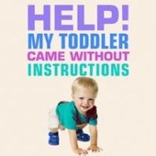 Blythe Lipman Releases Help! My Baby Came Without Instructions