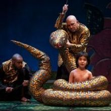 Rodman Theatre for Kids Sends 800 Boston-Area Youth to THE JUNGLE BOOK Today
