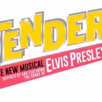 Mica Paris To Star In LOVE ME TENDER UK Tour