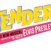 Mica Paris To Star In LOVE ME TENDER UK Tour