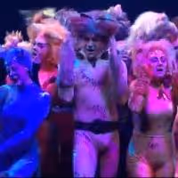 STAGE TUBE: Highlights from Marriott Theatre's CATS, Opening Tonight!