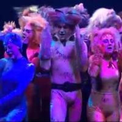 STAGE TUBE: Highlights from Marriott Theatre's CATS, Opening Tonight!