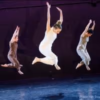 NEW YORK LIVE ARTS to Present The Barnard Project, 11/21-23