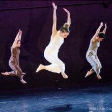 NEW YORK LIVE ARTS Presents The Barnard Project, Now thru 11/23