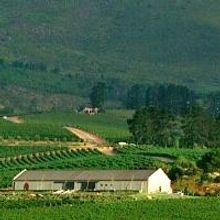 Rowayton Community Center Hosts Braai Shakespeare Fundraiser Today