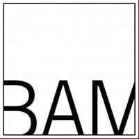 Encompass New Opera, Treehouse Shakers and More Ste for BAM's 2014-15 PDP