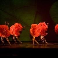 State Theatre Presents Momix Dance ompany's BOTANICA, Now thru Aug 11
