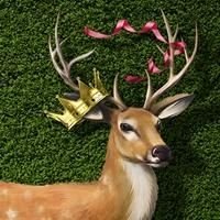 Canadian Stage Presents Shakespeare in High Park, 6/26