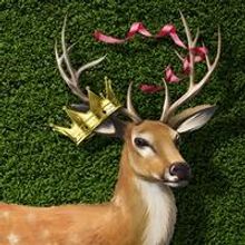 Canadian Stage Presents Shakespeare in High Park, 6/26