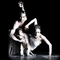 BWW Reviews: KINSHIP Is A Dance Double Bill That Both Delights And Challenges