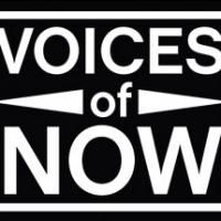 Eleven Ensembles Set for Arena Stage's 2014-15 'Voices of Now' Program