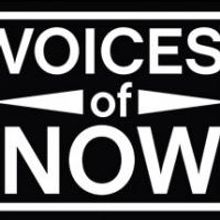 Eleven Ensembles Set for Arena Stage's 2014-15 'Voices of Now' Program