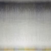 CYNTHIA-REEVES Presents SHEN CHEN: NEW PAINTINGS at IAP