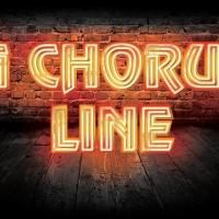 A CHORUS LINE, THE SUNSHINE BOYS and GYPSY Make Up Connecticut Rep's 2014 Nutmeg…