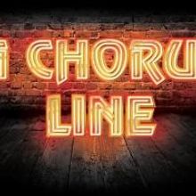 A CHORUS LINE, THE SUNSHINE BOYS and GYPSY Make Up Connecticut Rep's 2014 Nutmeg Summ