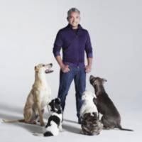 Cesar Millan Headed to Denver's Paramount Theatre, March 28, 2014