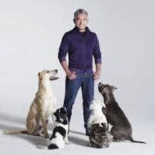 Cesar Millan Headed to Denver's Paramount Theatre, March 28, 2014