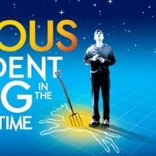 CURIOUS INCIDENT Closes At Apollo; Moves To Gielgud