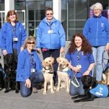 Guide Dog Puppies Visit The Marlowe