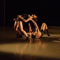 Peridance Presents Welcomes OUI Danse, Shannon Gillen + Guests and More, Now thru…