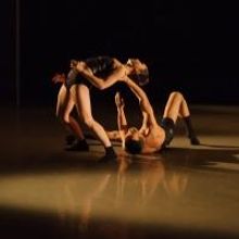 Peridance Presents Welcomes OUI Danse, Shannon Gillen + Guests and More, Now thru…