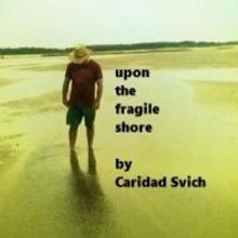 UPON THE FRAGILE SHORE Reading, Talkback Set for Tonight at New Dramatists