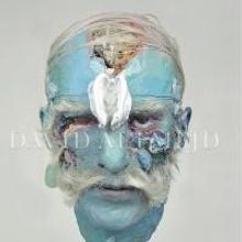 The Strand Bookstore Presents David Altmejd in Conversation with Robert Hobbs, Tonigh