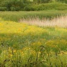 Gaylord and Dorothy Donnelley Foundation to Throw Party to Launch Arts Grant Expansio