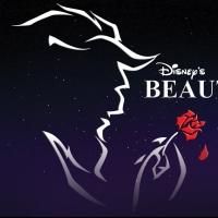 Over 100 Local Students Perform in Alpine Kids! Theatre Project's BEAUTY AND THE…