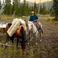 Nat Geo Channel Premieres New Series DEAD END EXPRESS Tonight