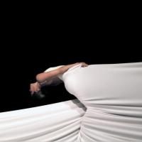UM School of Theatre & Dance Hosts 2014 ACDFA Northwest Regional Conference, Now…