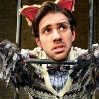 Lifeline Theatre Presents THE TRUE STORY OF THE THREE LITTLE PIGS, Now thru 2/16
