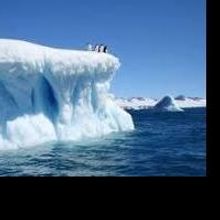 L. Ron Hubbard International Writers of the Future Contest Calls for Someone from Ant