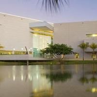 Frost Art Museum Debuts Two 'Powerful' New Art Shows Today