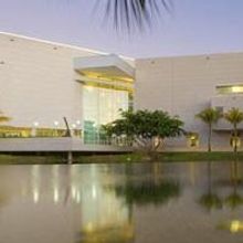 Frost Art Museum Debuts Two 'Powerful' New Art Shows Today